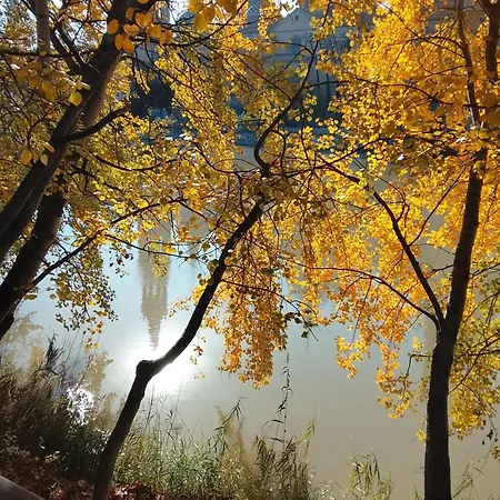 شقة La Terraza Del Pilar *