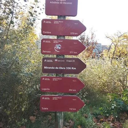 La Terraza Del Pilar * Zaragoza